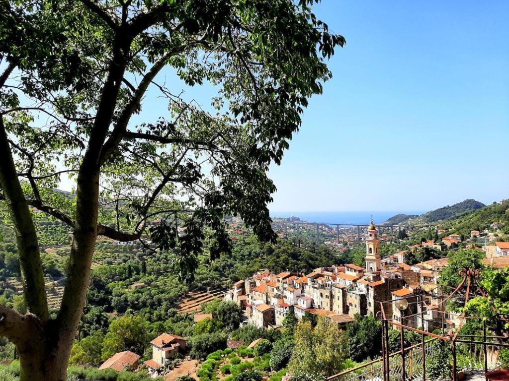 Casa Vita Apartment Vallebona ภายนอก รูปภาพ